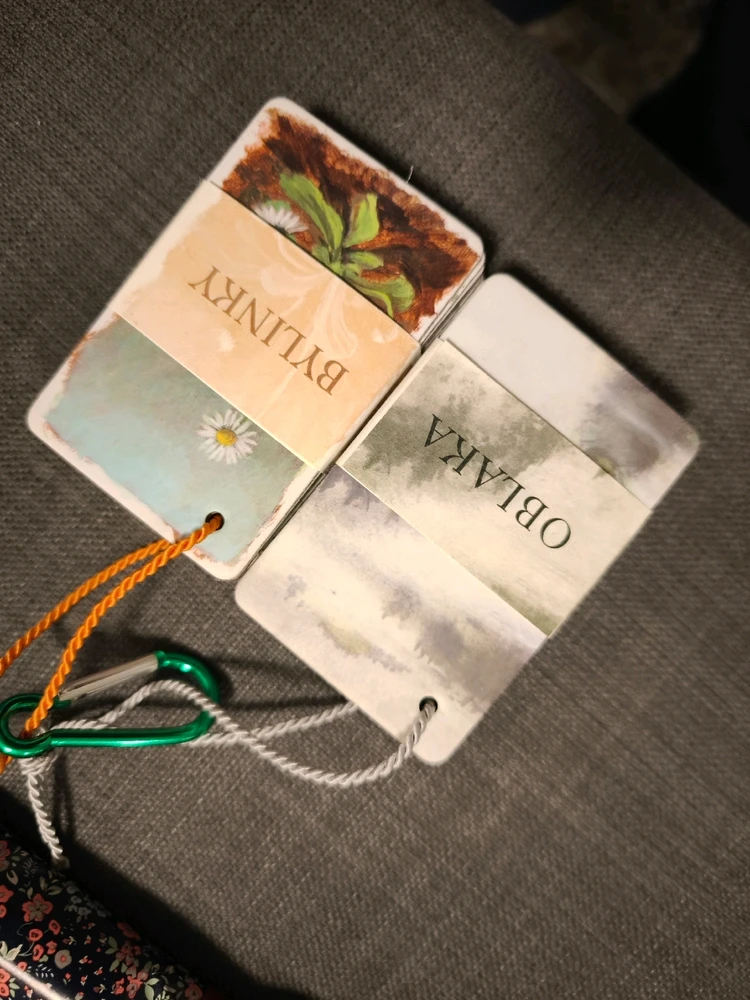 Obrázek nahrál 🧿