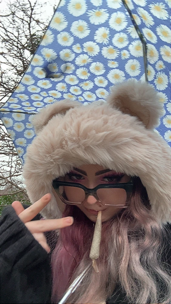 Lily上傳的圖片