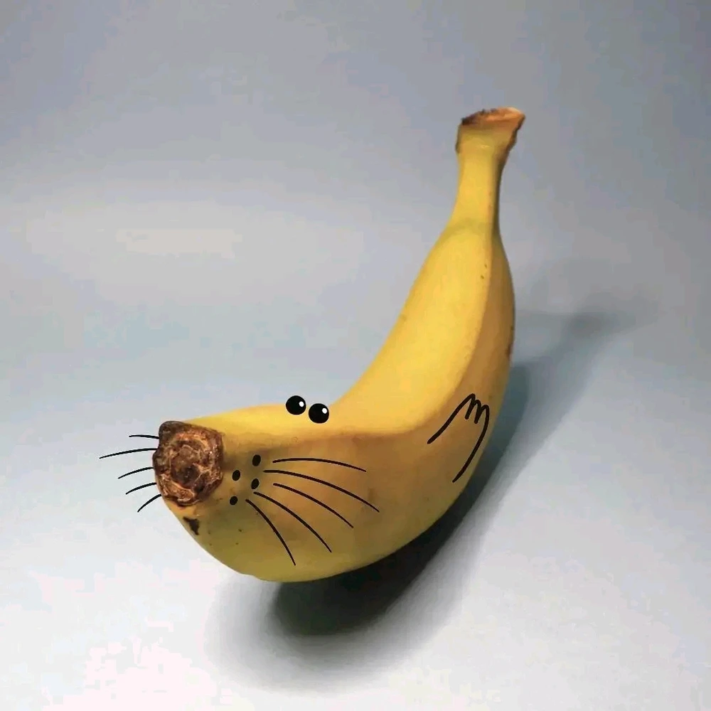 Détourner le quotidien