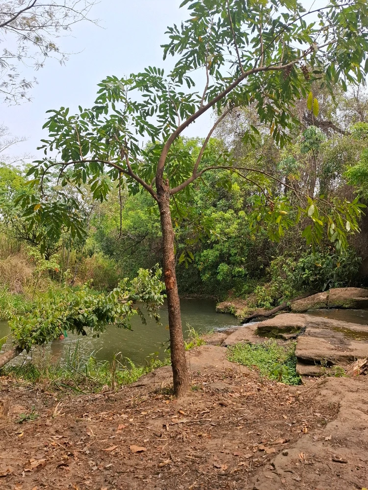 GIF enviado por Adylla alves