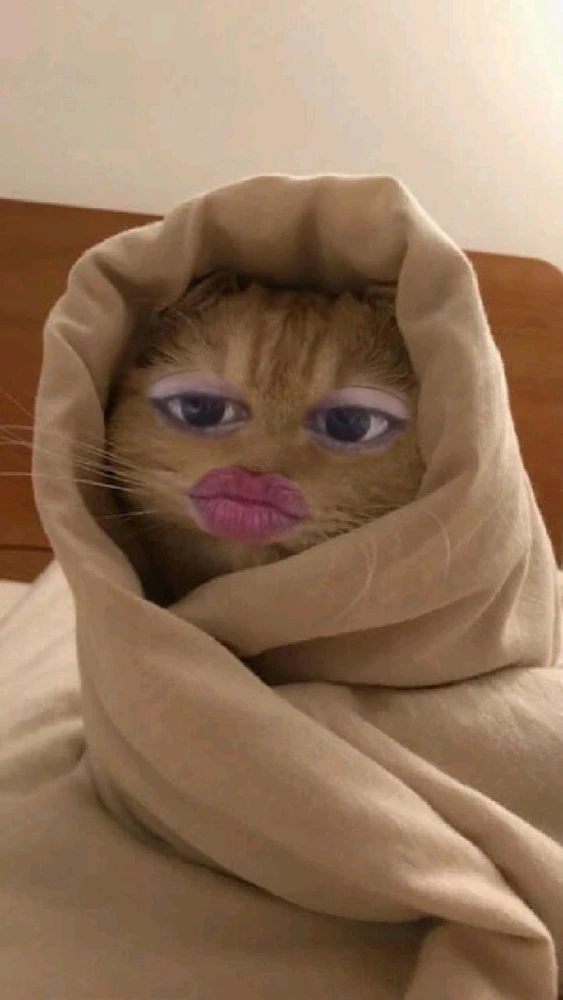 GIF diunggah oleh Ty