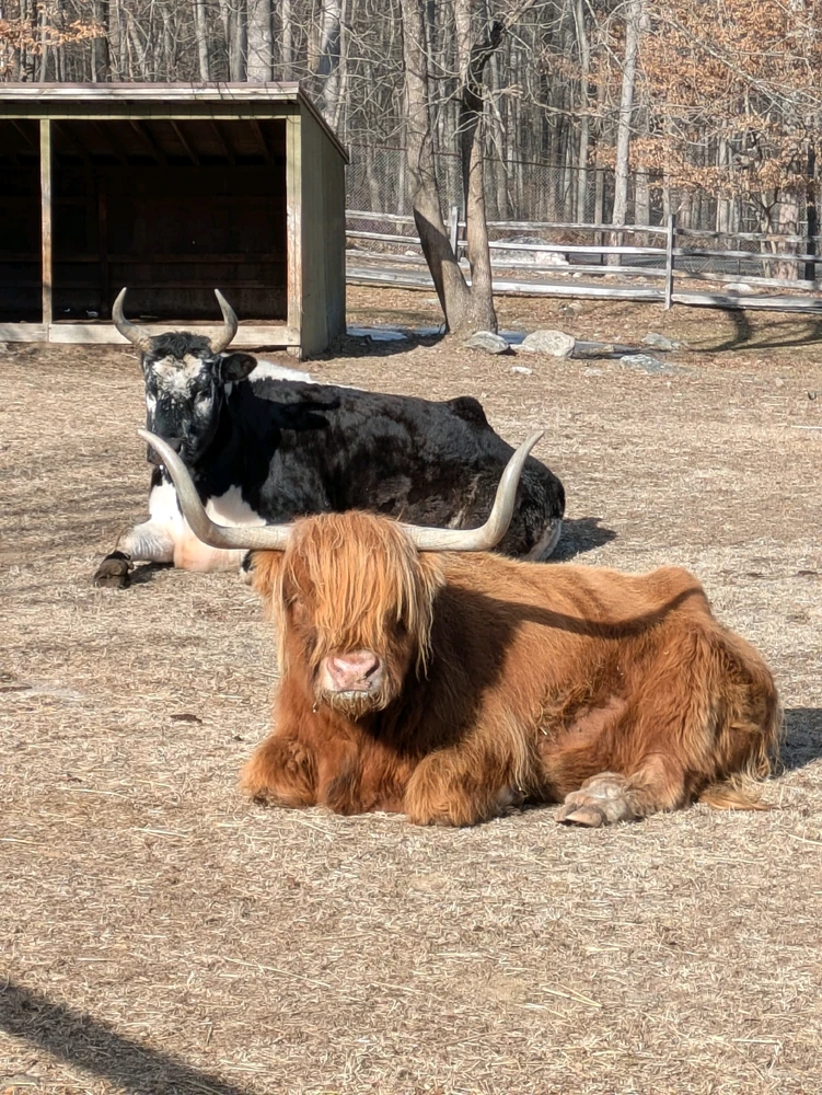 GIF uploaded by Jasper H