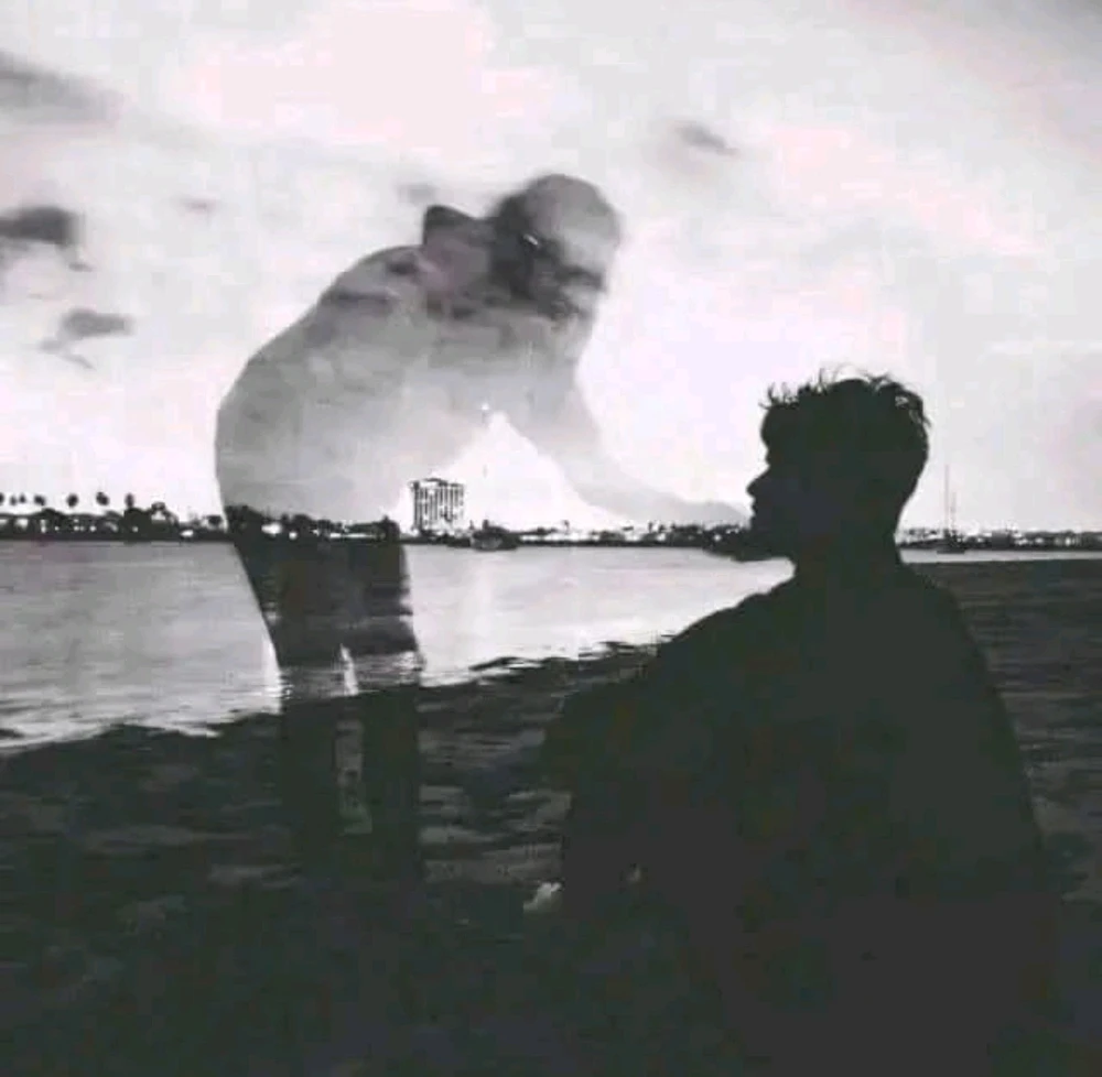 GIF uploaded by Abdul Ahad