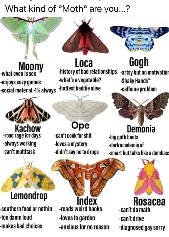 GIF uploaded by Carla