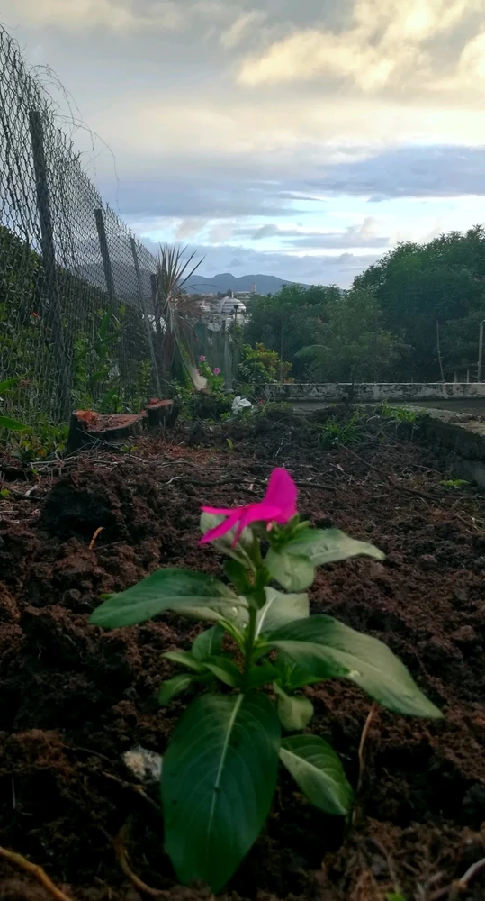 GIF ajouté par Miguel