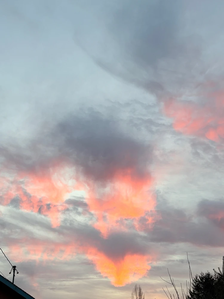 Tyler上传的GIF