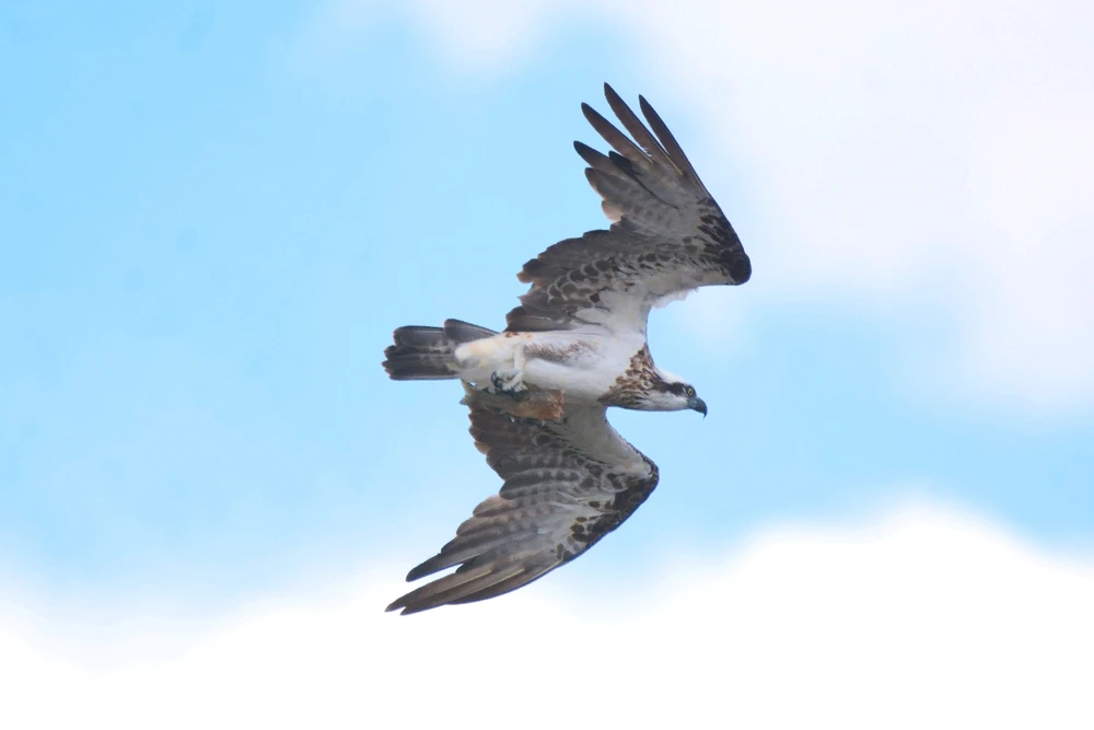 GIF uploaded by Luke