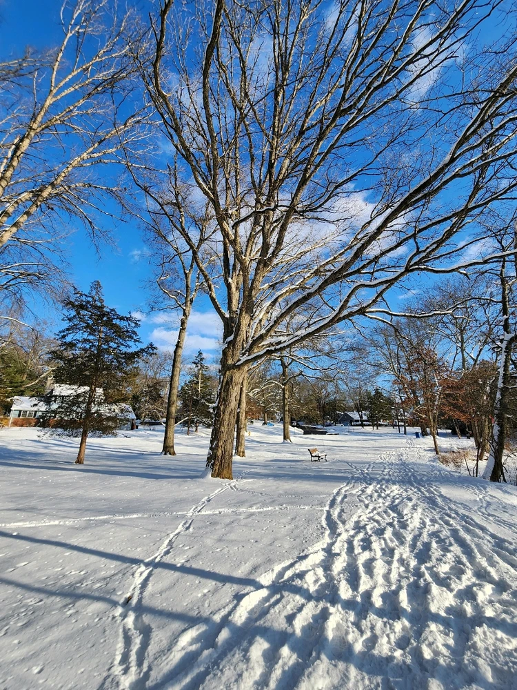 Gambar diunggah dening Jordan