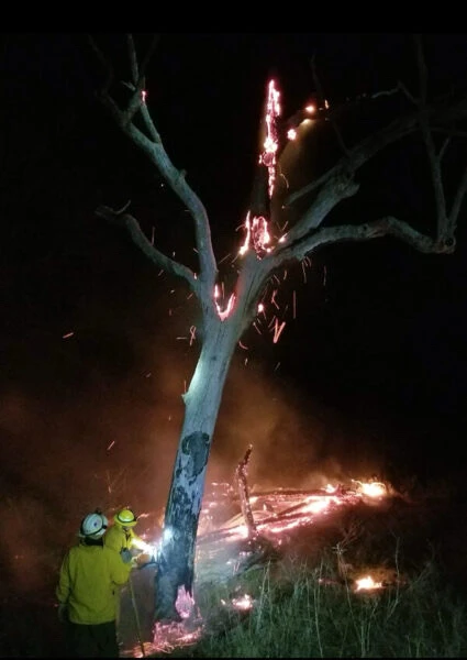 Image uploaded by Sage