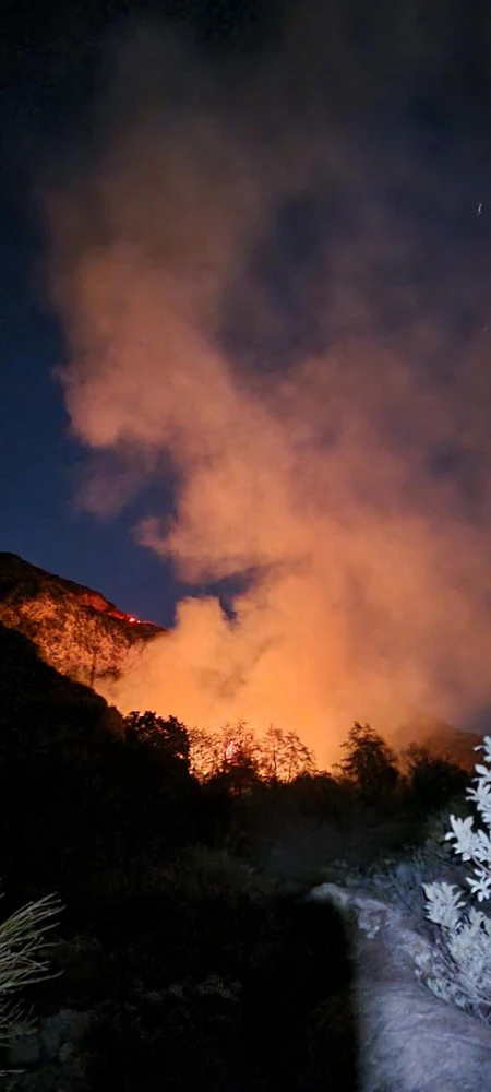 Image uploaded by Sage