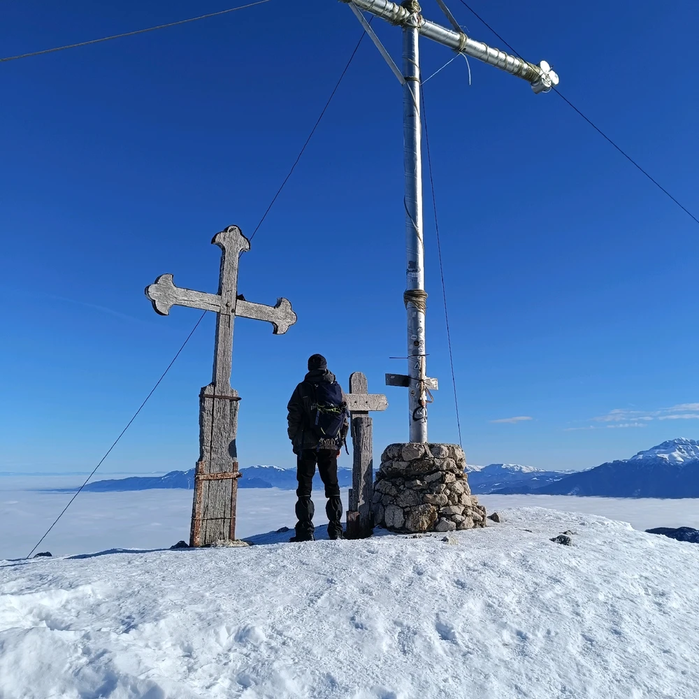 GIF încărcat de David