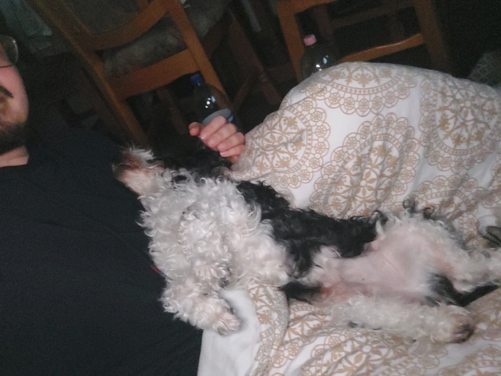 Bild hochgeladen von Connor