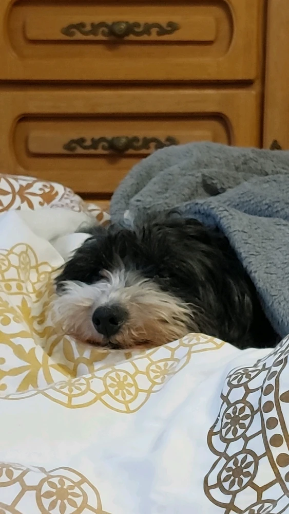 Bild hochgeladen von Connor