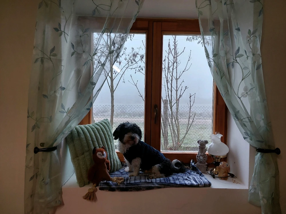 Bild hochgeladen von Connor