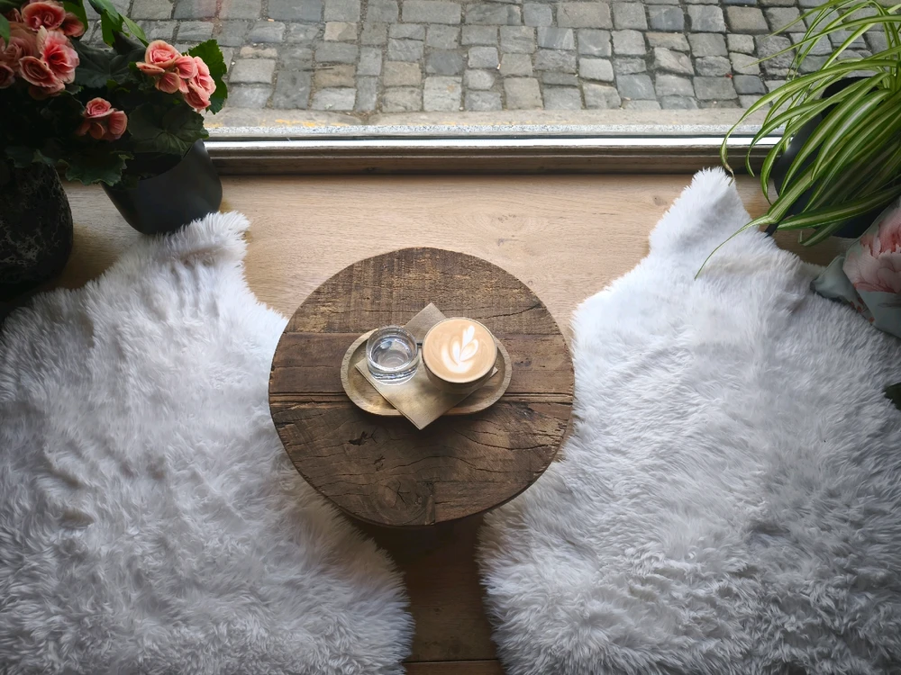 Obrázek nahrál 🧿