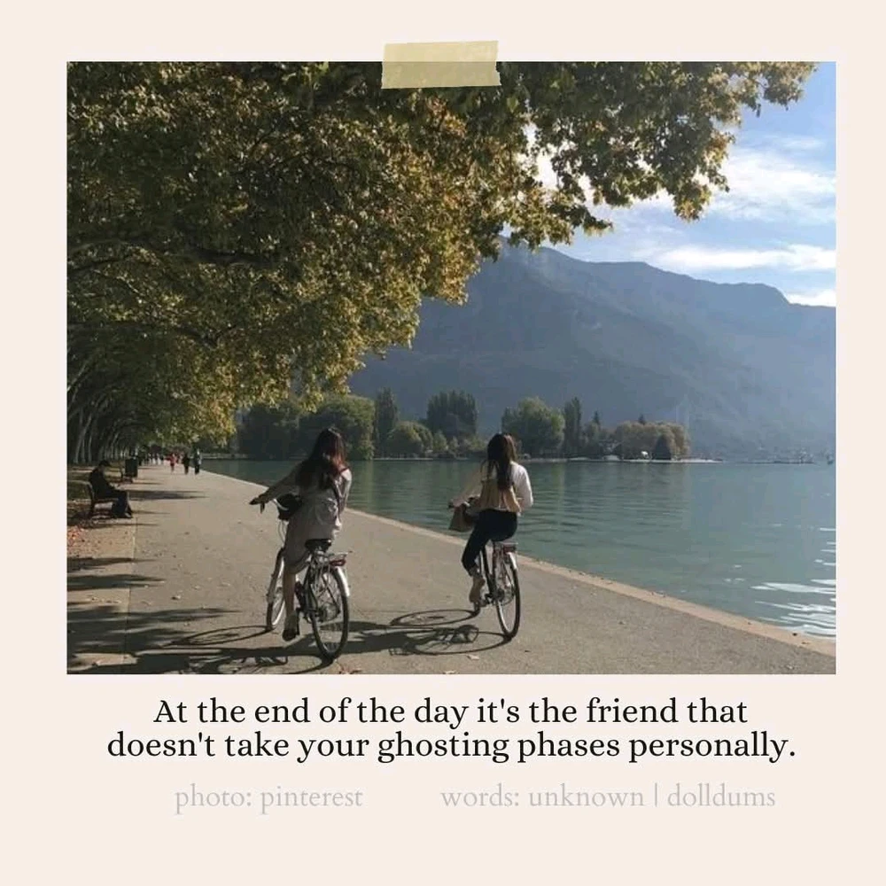 GIF อัปโหลดโดย Phoebe