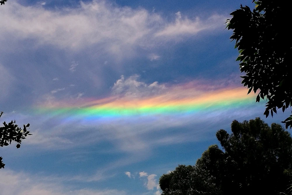 GIF uploaded by N A T