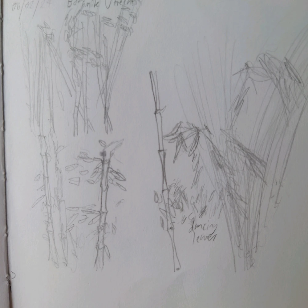 Image uploaded by Ben