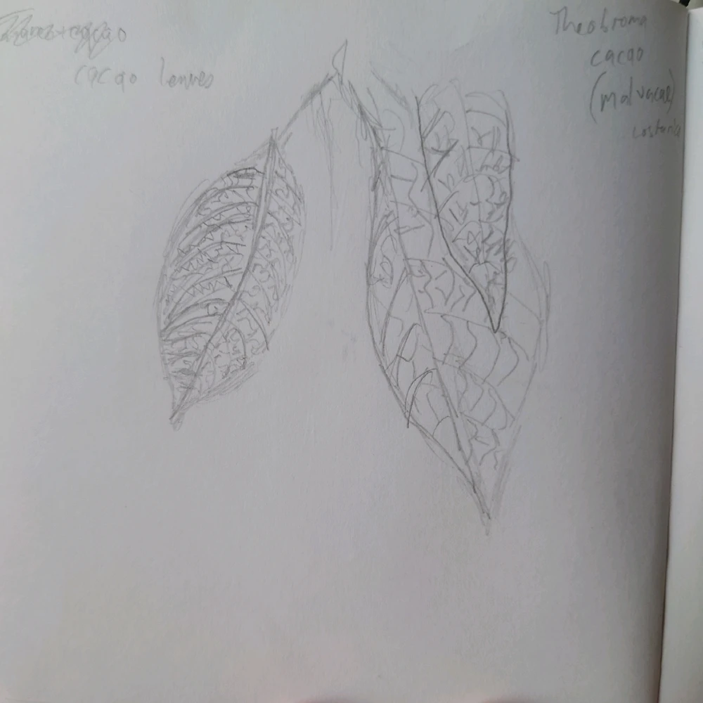 Image uploaded by Ben