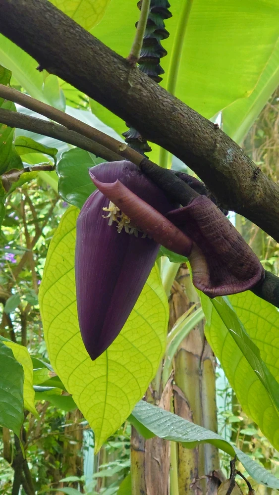 Image uploaded by Ben