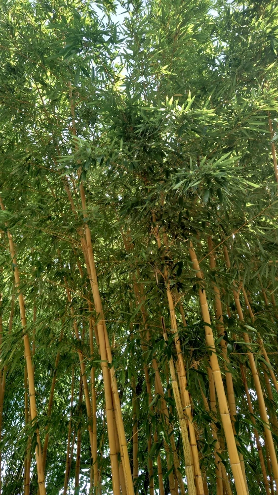 Image uploaded by Ben