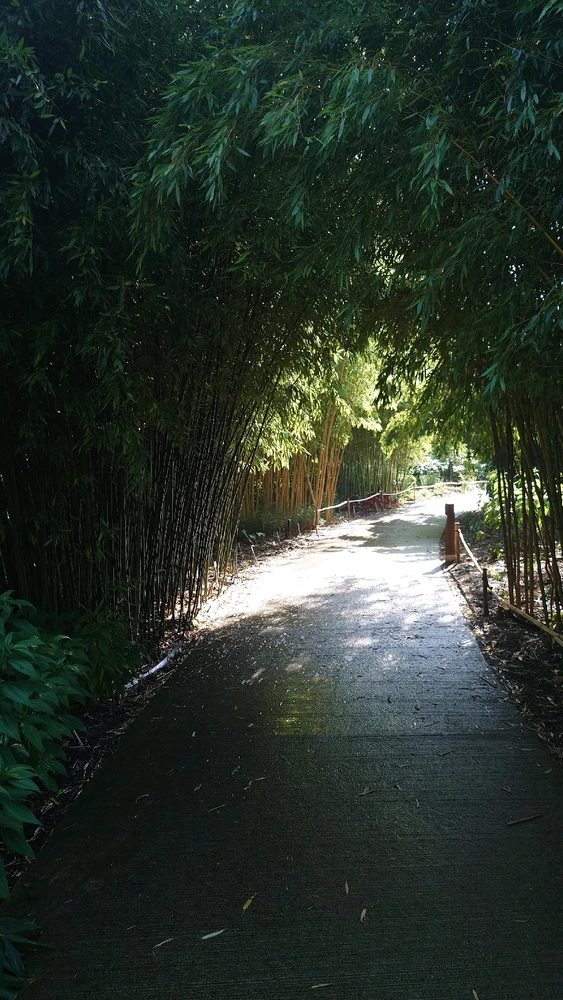 Image uploaded by Ben