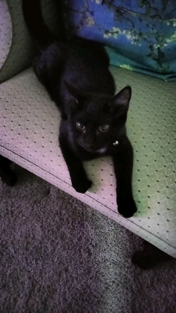 Image uploaded by Juana