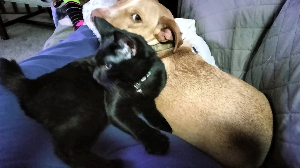 Image uploaded by Juana