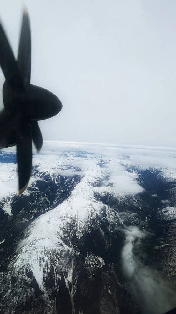 Image uploaded by Joswin Antony