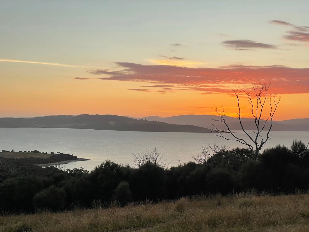 Image uploaded by Jamie