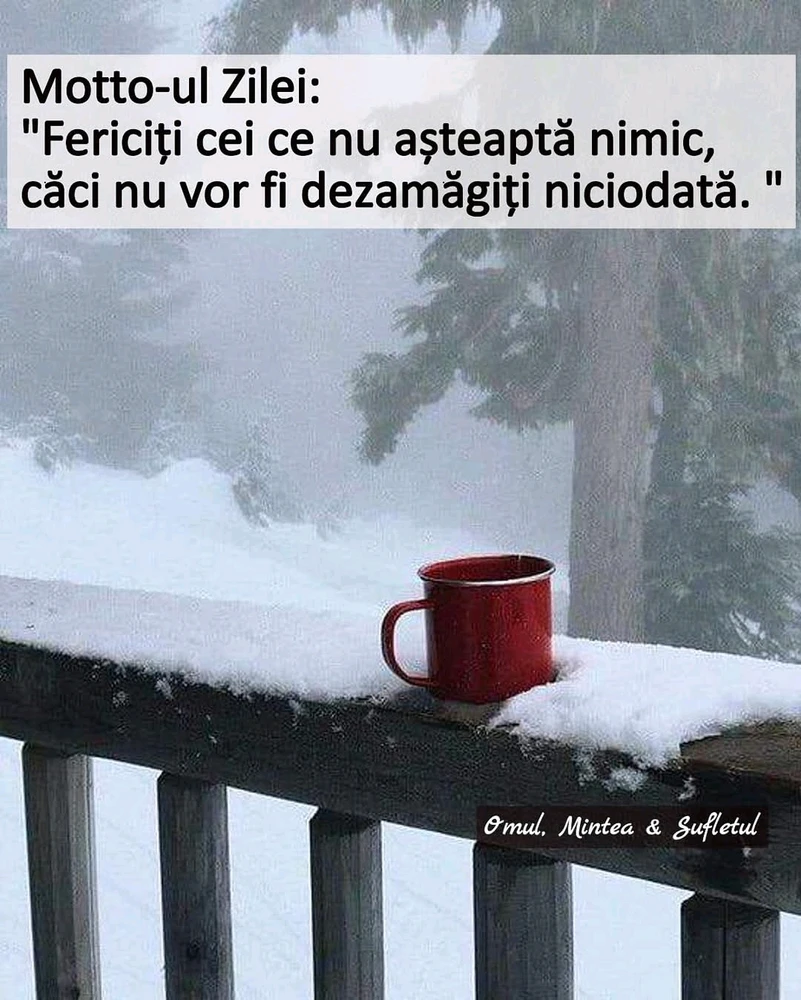 GIF încărcat de GFN