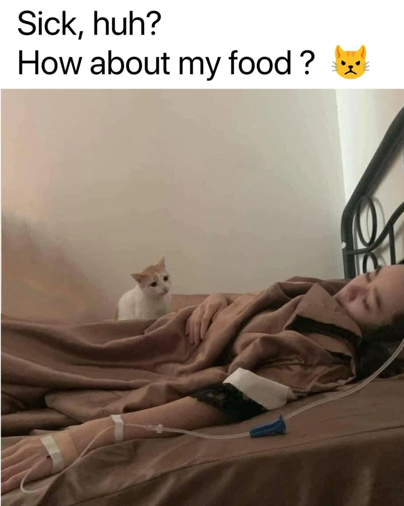 GIF uploaded by Cutie