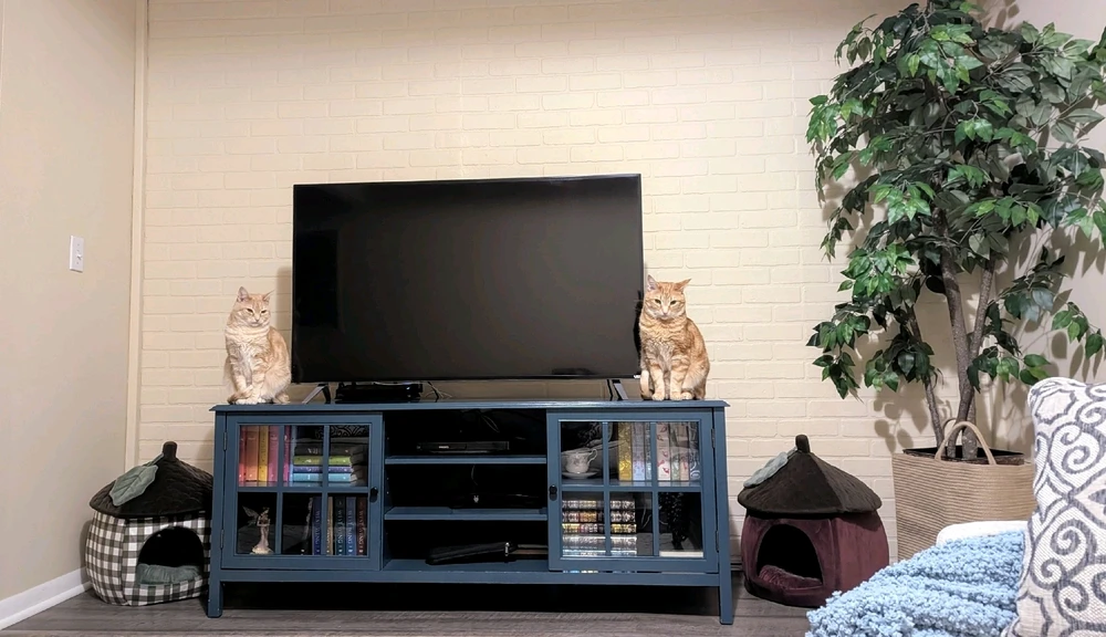 GIF uploaded by Melissa