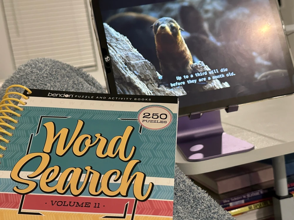 GIF uploaded by Yaira