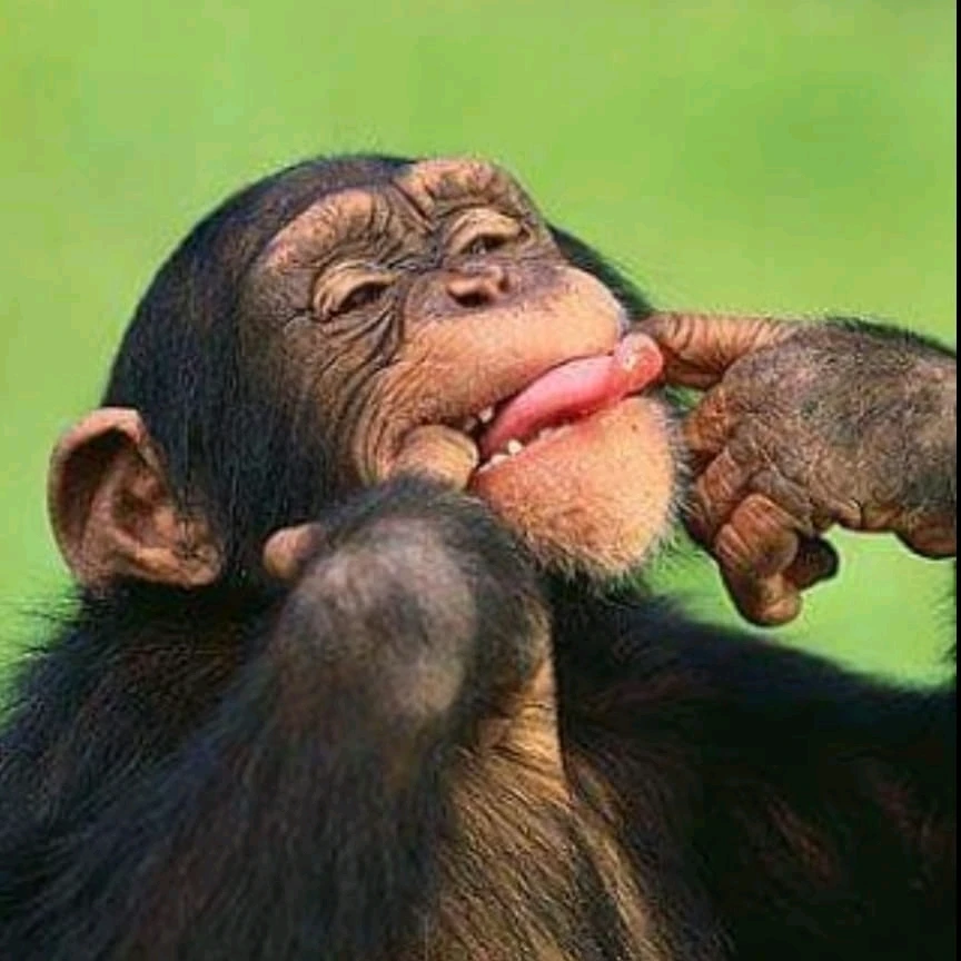 GIF uploaded by PawtGma