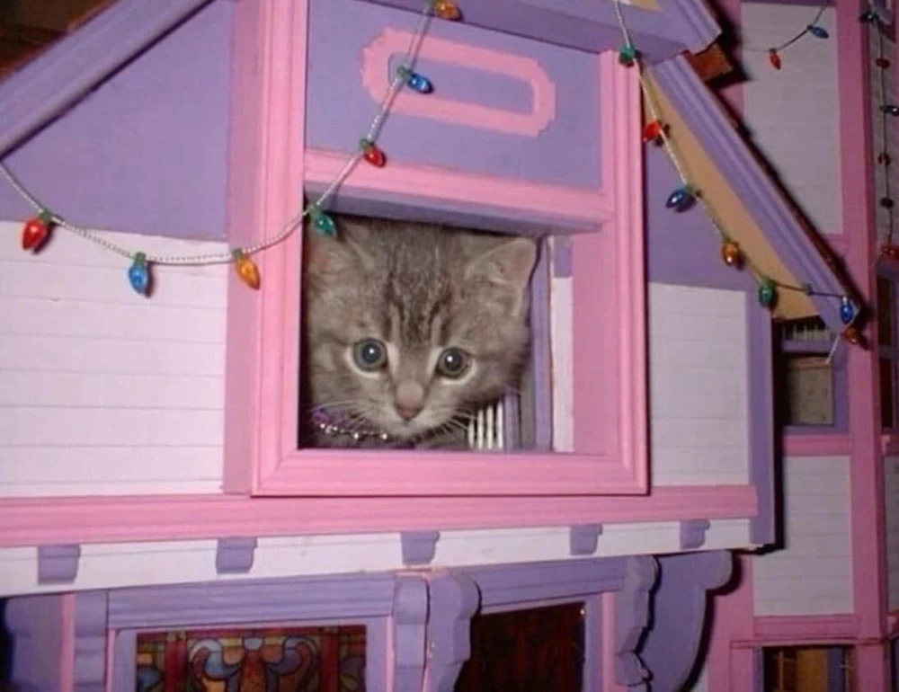 GIF uploaded by bellissima