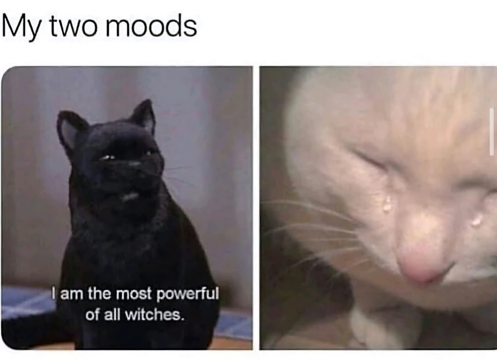 GIF uploaded by Cris-is 🫧✨️