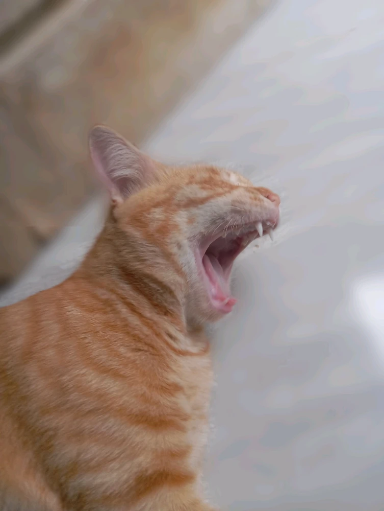 Gambar diunggah dening Dany Nine