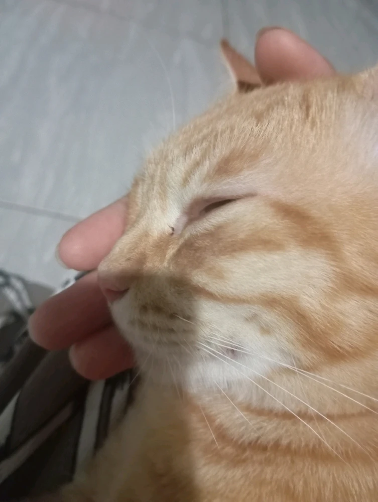 Gambar diunggah dening Dany Nine