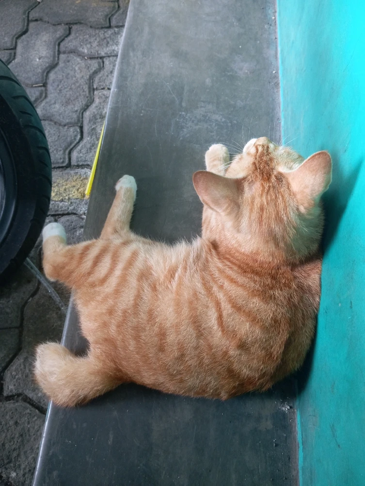 Gambar diunggah dening Dany Nine