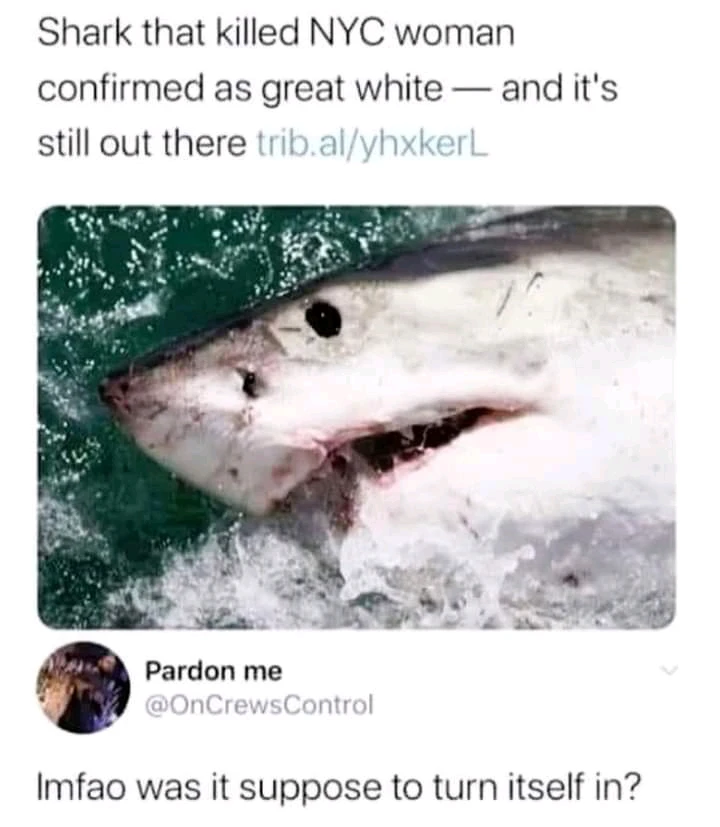 GIF uploaded by Philip