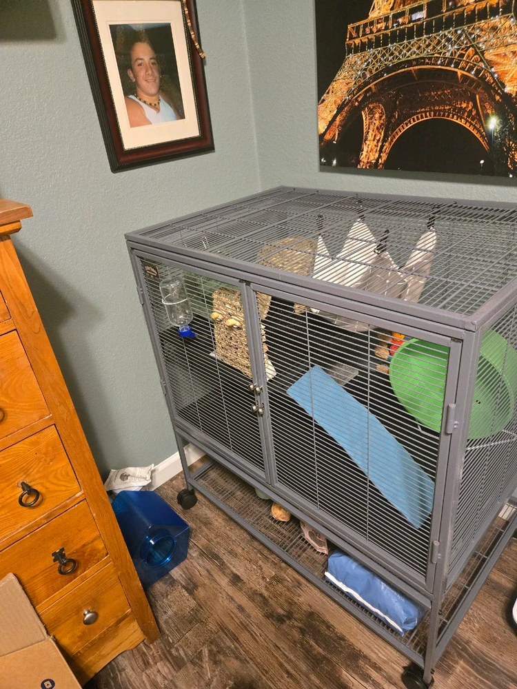 Image uploaded by Tashelle the Cactus Queen