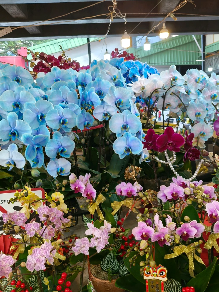 Image uploaded by Kathalina