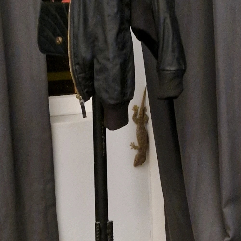 Image uploaded by Mathias