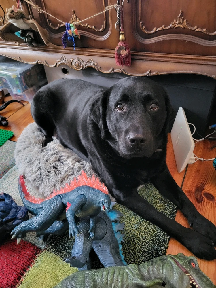 GIF hochgeladen von Hagalaz