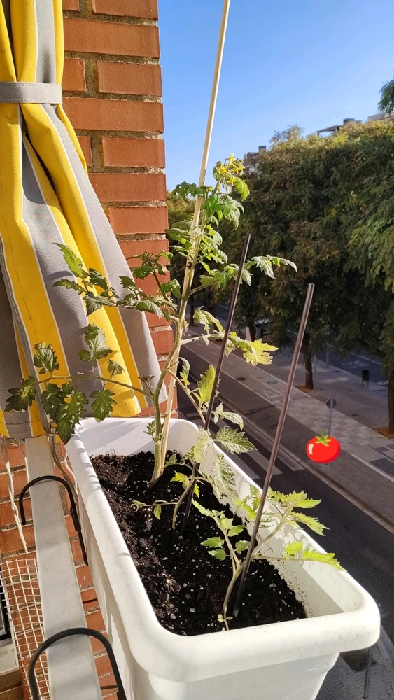 GIF subido por Luis Gómez López