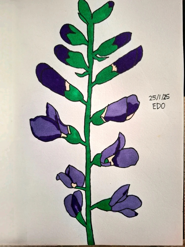 Image uploaded by Edo