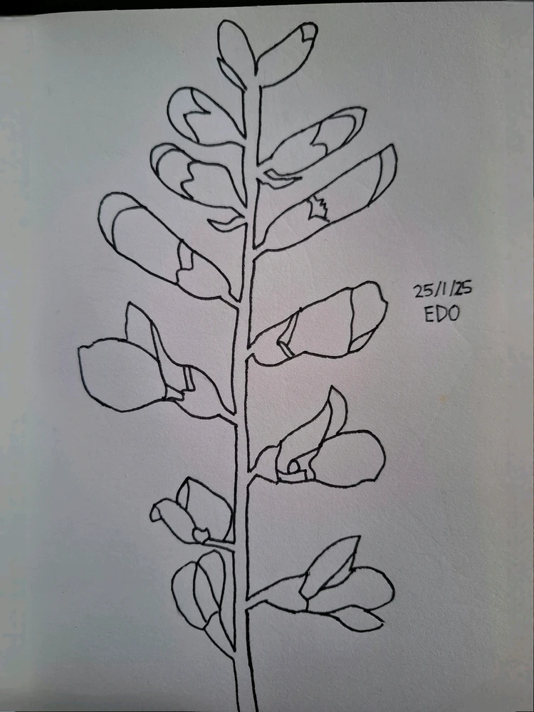 Image uploaded by Edo