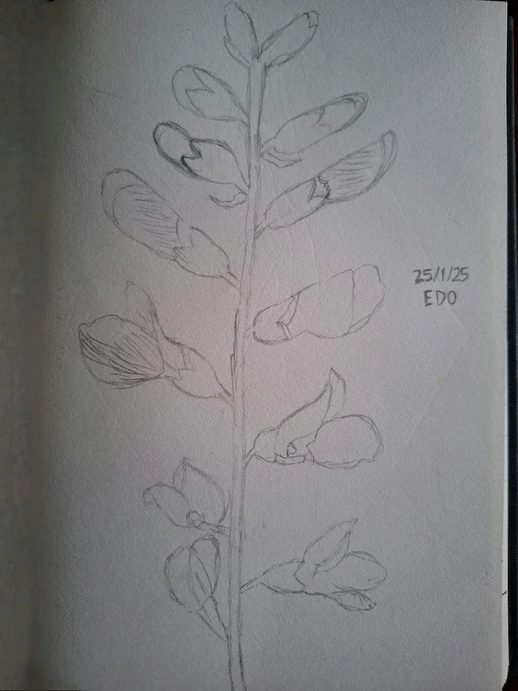 Image uploaded by Edo