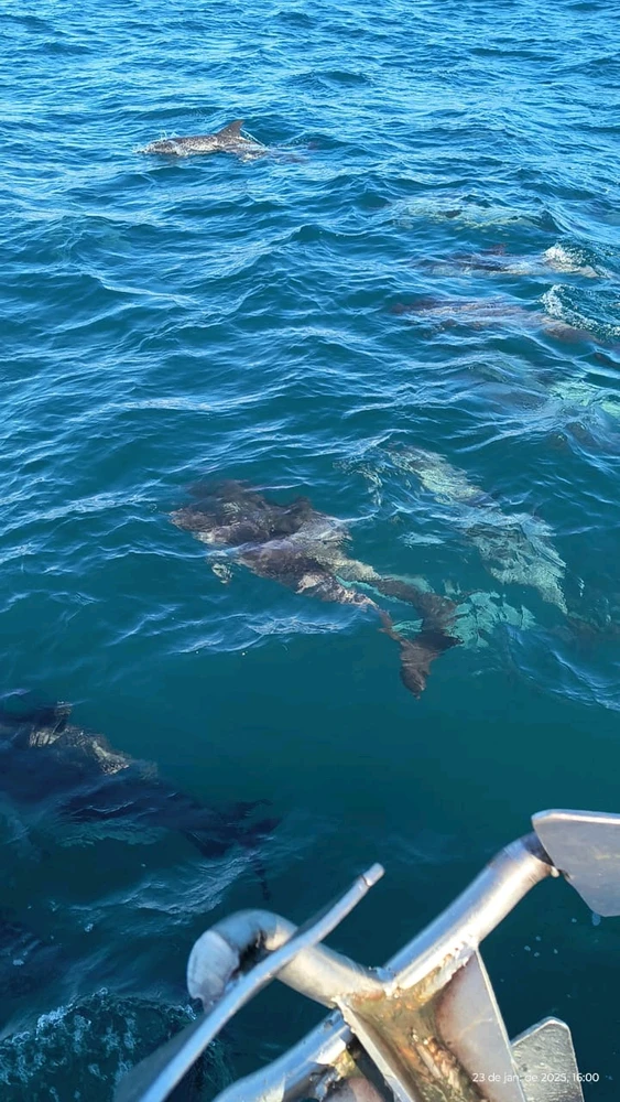 GIF enviado por Távine